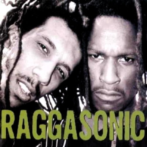 Pochette de Raggasonic