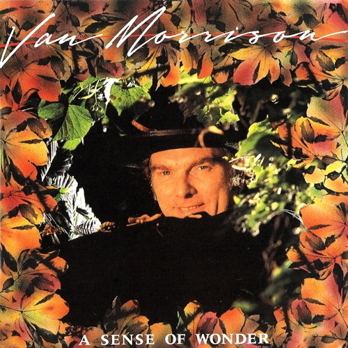 Pochette de A Sense Of Wonder