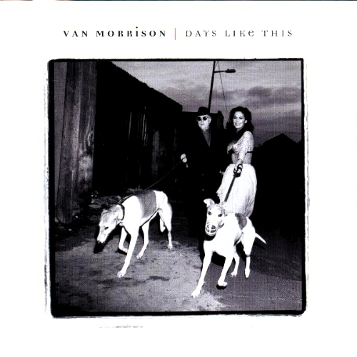 Pochette de Days Like This