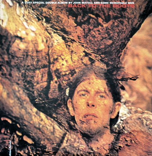 Pochette de Back To The Roots