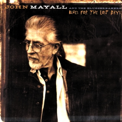 Pochette de Blues For The Lost Days