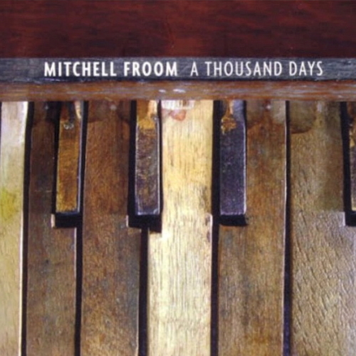 Pochette de A Thousand Days