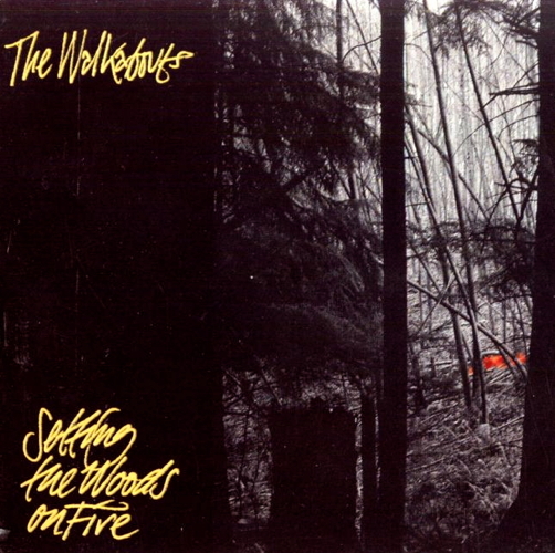 Setting The Woods On Fire