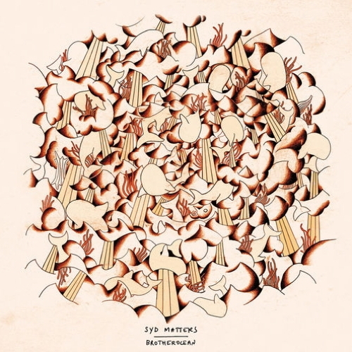 Pochette de Brotherocean