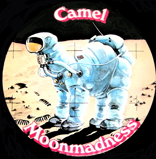 Pochette de Moonmadness