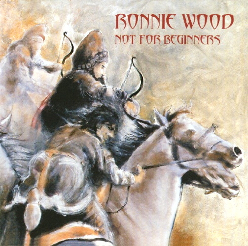 Pochette de Not For Beginners