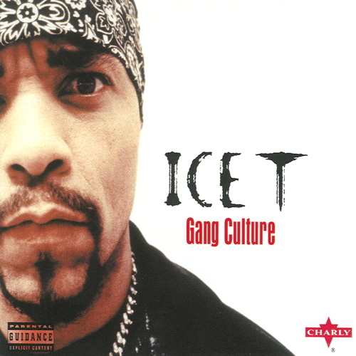 Pochette de Gang Culture