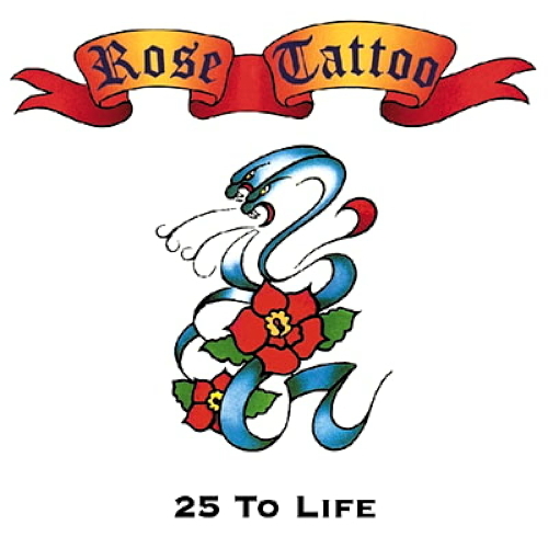Pochette de 25 To Life