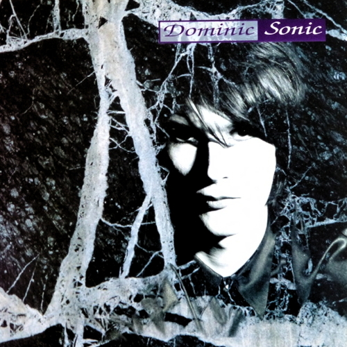 Dominic Sonic