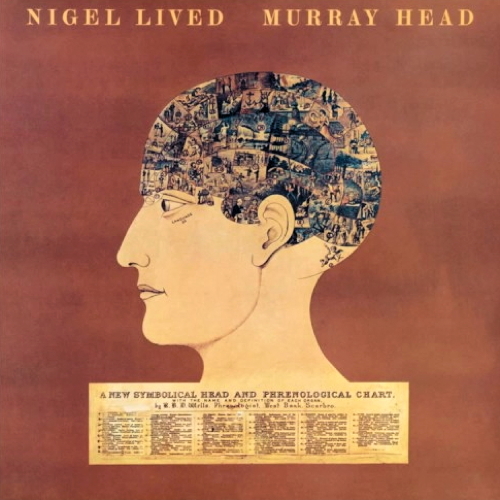 Pochette de Nigel Lived