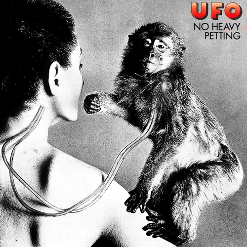 Pochette de No Heavy Petting
