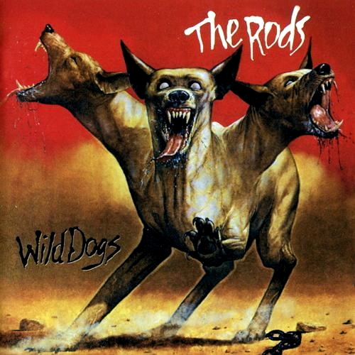 Wild Dogs