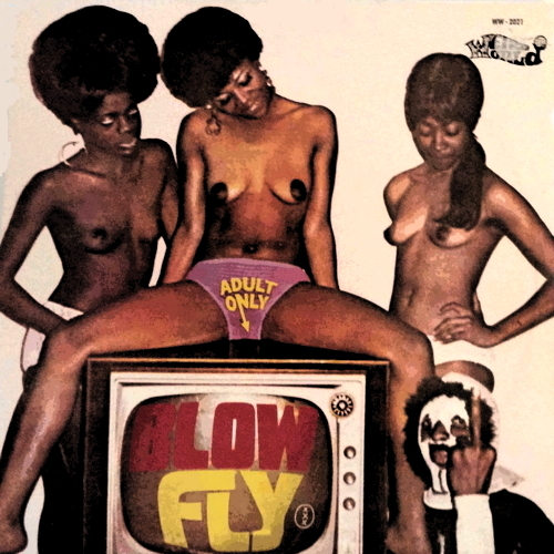 Pochette de Blowfly On TV