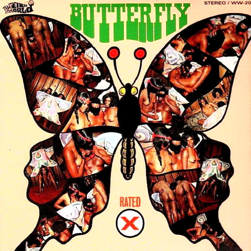 Pochette de Butterfly