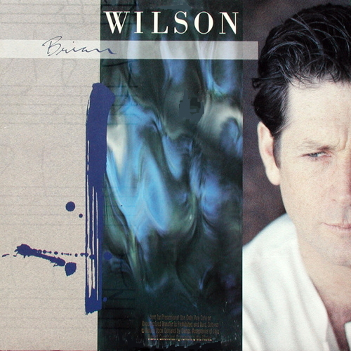 Pochette de Brian Wilson