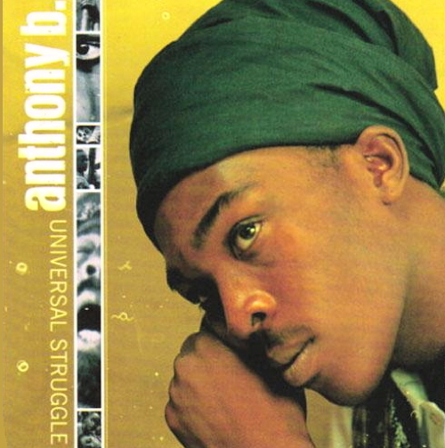 Pochette de Universal Struggle