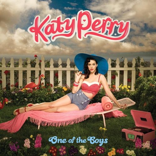 Pochette de One Of The Boys