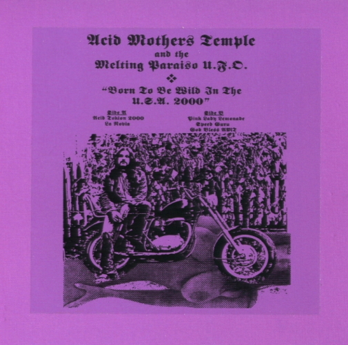 Born To Be Wild In The USA 2000