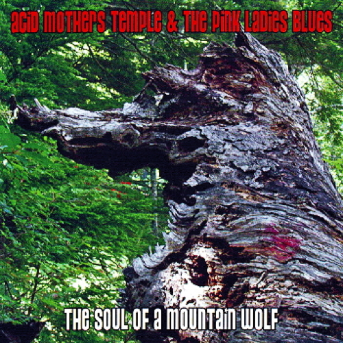 The Soul Of A Mountain Wolf