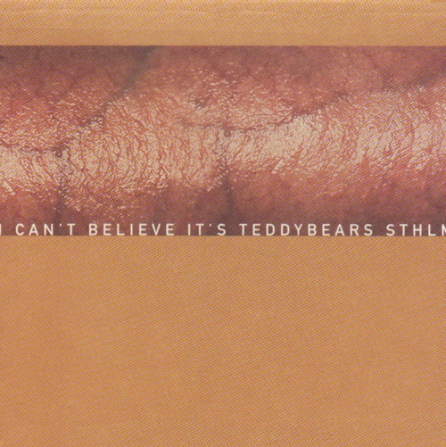 Pochette de I Can't Believe It's Teddybears Sthlm
