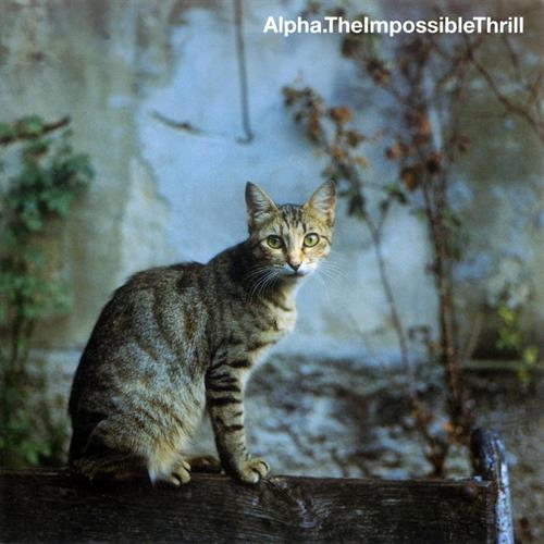 Pochette de The Impossible Thrill