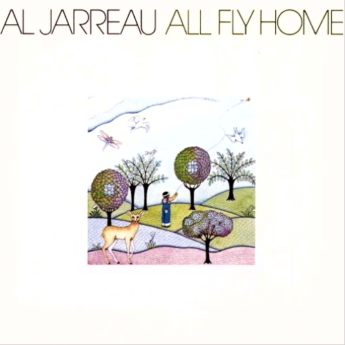 Pochette de All Fly Home