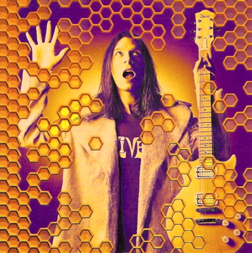 Pochette de Beehive Live