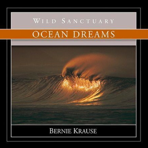Ocean Dreams