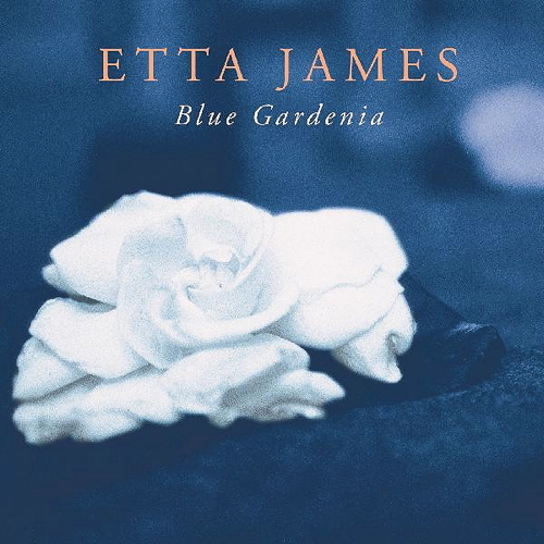 Pochette de Blue Gardenia