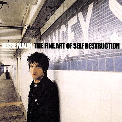 Pochette de The Fine Art Of Self Destruction