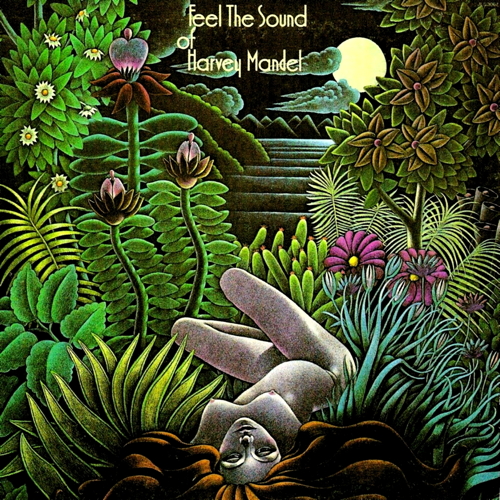 Feel The Sound Of Harvey Mandel