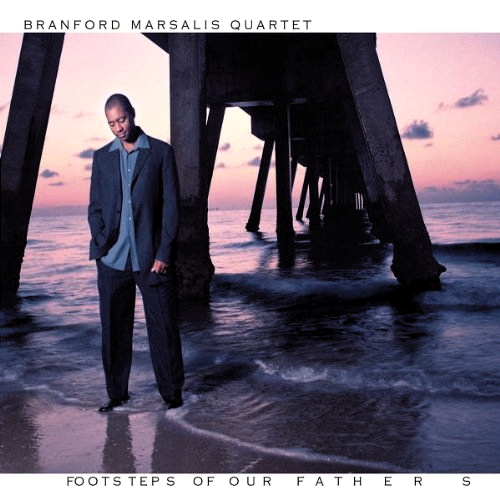 Pochette de Footsteps Of Our Fathers