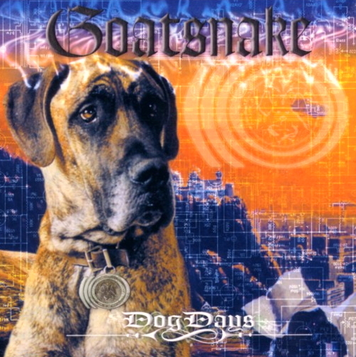 Pochette de Dog Days