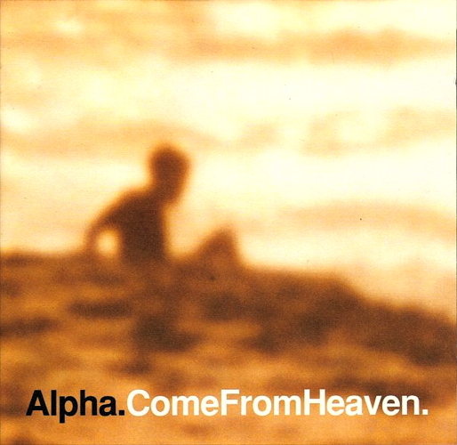 Pochette de Come From Heaven