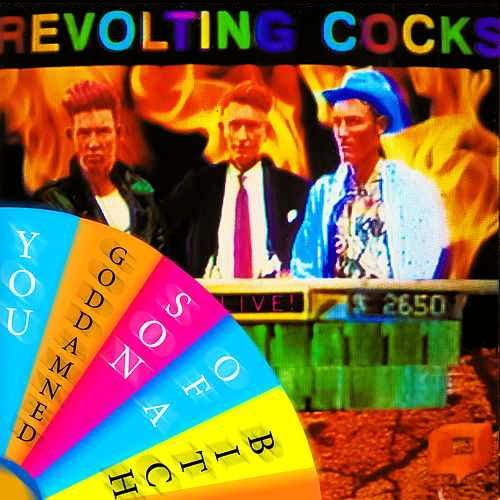 Pochette de You Goddamned Son Of A Bitch