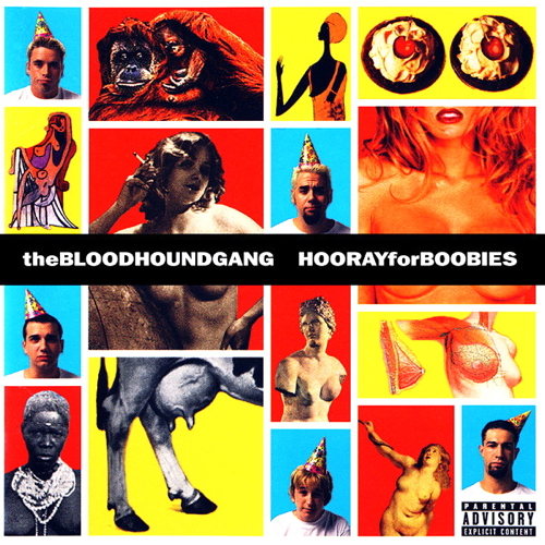 Pochette de Hooray For Boobies