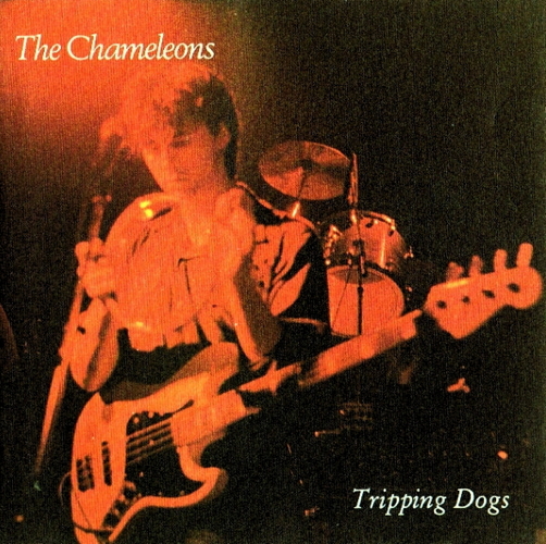 Pochette de Tripping Dogs