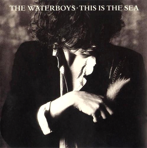 This Is The Sea