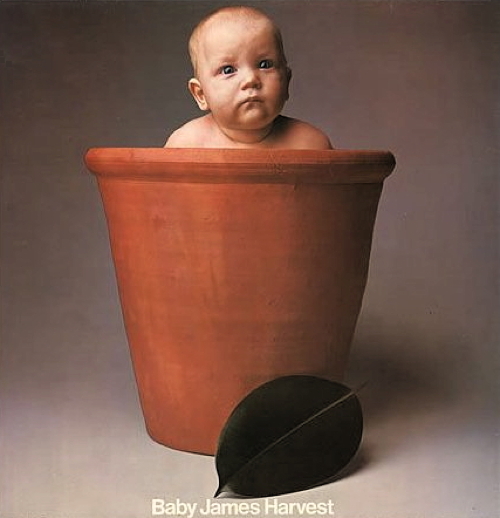 Pochette de Baby James Harvest