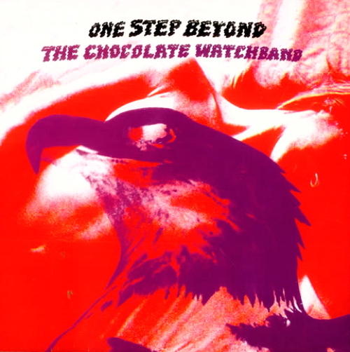 One Step Beyond