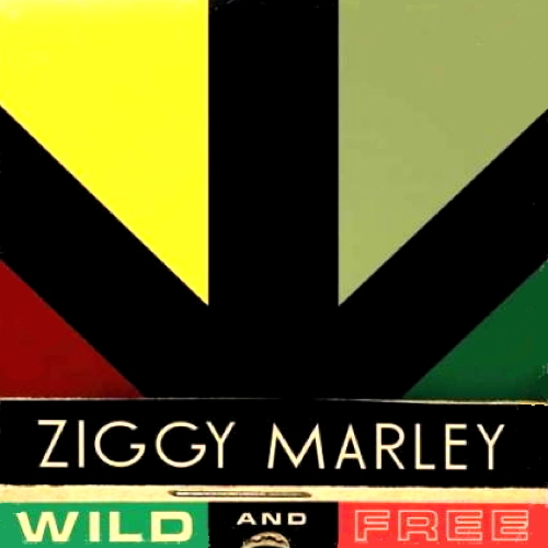 Wild & Free