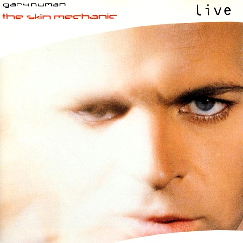 Pochette de The Skin Mechanic: Live