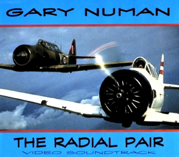 Pochette de The Radial Pair