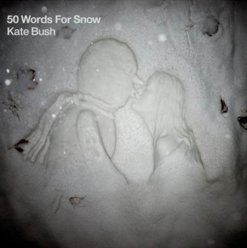 Pochette de 50 Words For Snow