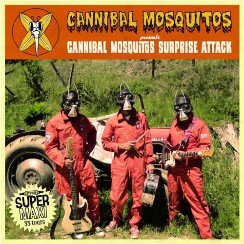 Pochette de Cannibal Mosquitos Surprise Attack