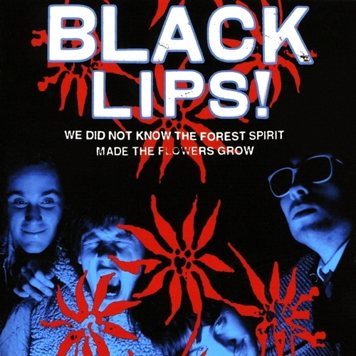 Pochette de We Did Not Know The Forest Spirit Made The Flowers Grow