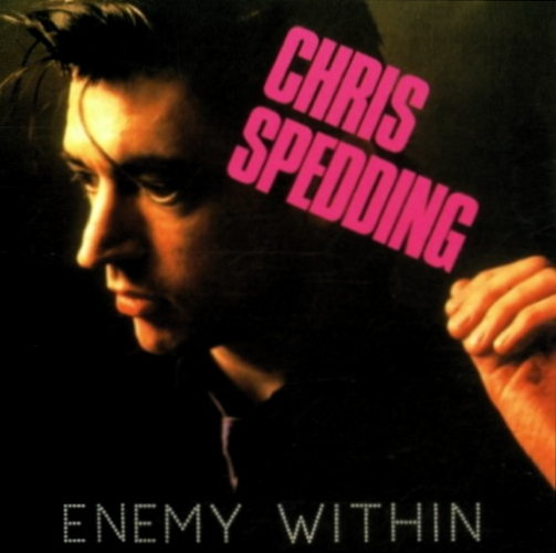 Pochette de Enemy Within