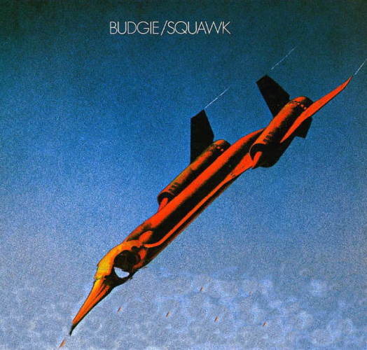 Squawk