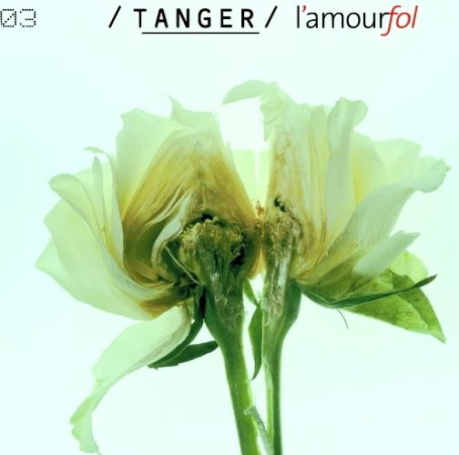 L'Amour Fol
