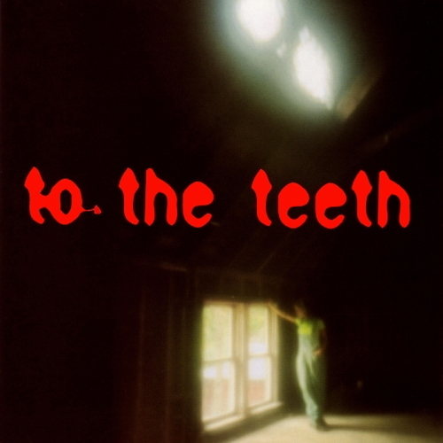 Pochette de To The Teeth